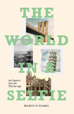 The World in a Selfie(English, Hardcover, d'Eramo Marco)