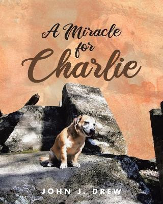 A Miracle for Charlie(English, Paperback, Drew John J)