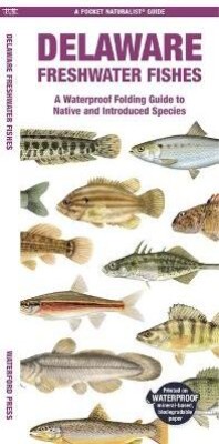 Delaware Freshwater Fishes(English, Pamphlet, Morris Matthew Waterford Press)