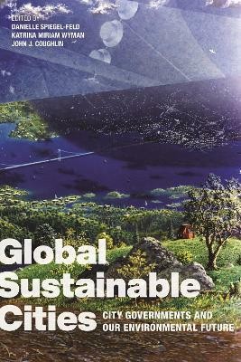 Global Sustainable Cities(English, Paperback, unknown)