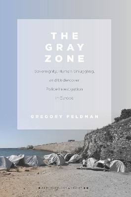 The Gray Zone(English, Electronic book text, Feldman Gregory)