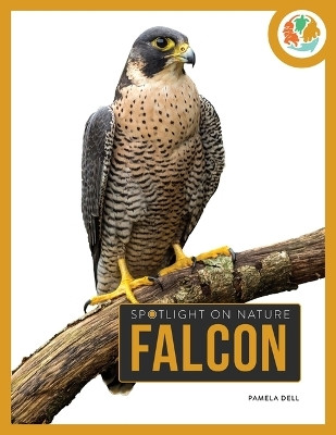 Falcon(English, Paperback, Dell Pamela)