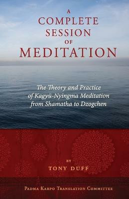 A Complete Session of Meditation(English, Paperback, Duff Tony)