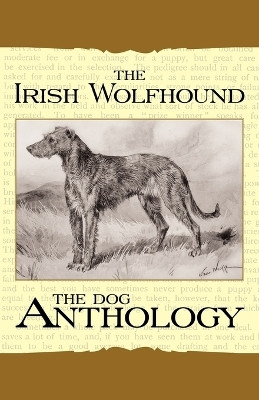 The Irish Wolfhound - A Dog Anthology (A Vintage Dog Books Breed Classic)(English, Paperback, Various)