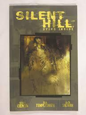 Silent Hill(English, Hardcover, Perron Bernard)