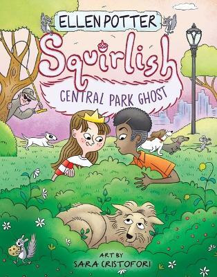 Central Park Ghost(English, Hardcover, Potter Ellen)