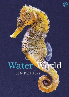 Water World(English, Paperback, Rothery Ben)