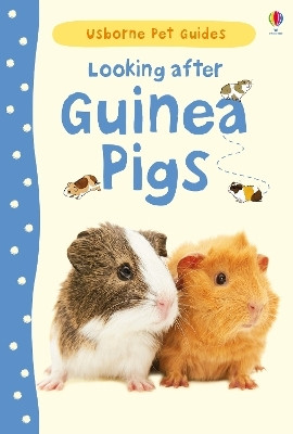 Looking after Guinea Pigs(English, Hardcover, Howell Laura)