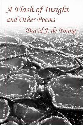 A Flash of Insight and Other Poems(English, Paperback, de Young David J)