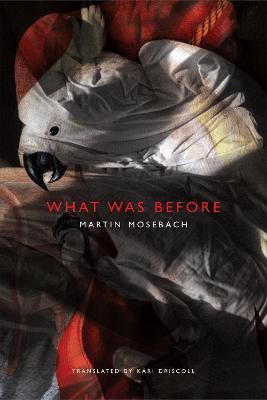 What was Before(English, Hardcover, Mosebach Martin)