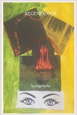 Regenerator(English, Paperback, Burke Brigid)