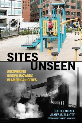 Sites Unseen(English, Paperback, Frickel Scott)