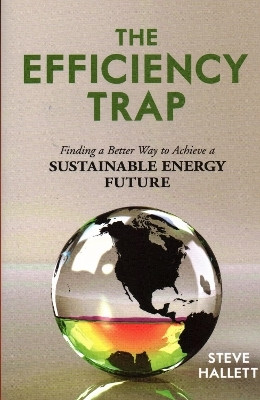 The Efficiency Trap(English, Paperback, Hallett Steve)