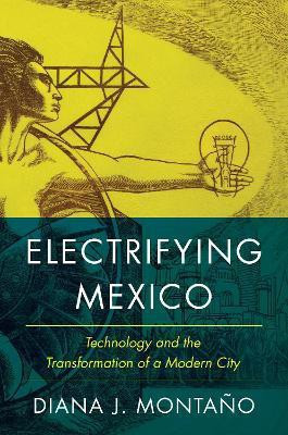 Electrifying Mexico(English, Paperback, Montano Diana)
