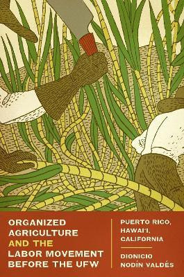 Organized Agriculture and the Labor Movement before the UFW(English, Paperback, Valdes Dionicio Nodin)