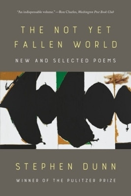 The Not Yet Fallen World(English, Paperback, Dunn Stephen)