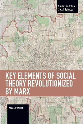 Key Elements of Social Theory Revolutionized by Marx(English, Paperback, Zarembka Paul)