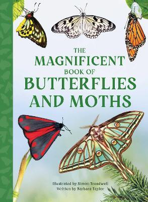 The Magnificent Book of Butterflies & Moths(English, Hardcover, Taylor Barbara)