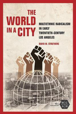 The World in a City(English, Paperback, Struthers David M)