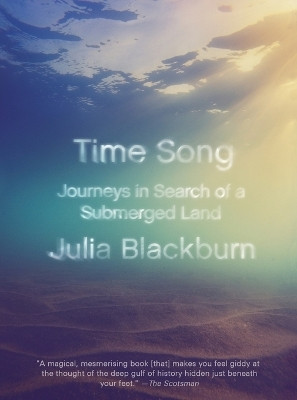 Time Song(English, Paperback, Blackburn Julia)