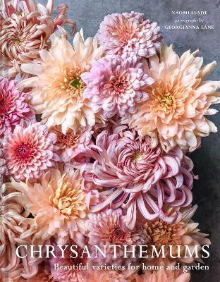 Chrysanthemums(English, Hardcover, Slade Naomi)