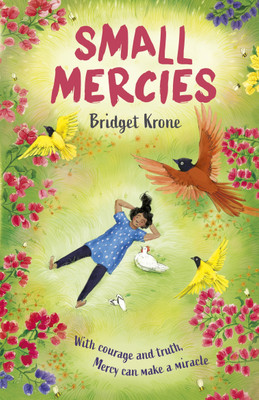 Small Mercies(English, Paperback, Krone Bridget)