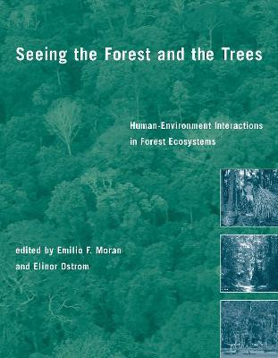 Seeing the Forest and the Trees(English, Paperback, unknown)