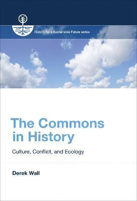 The Commons in History(English, Hardcover, Wall Derek)