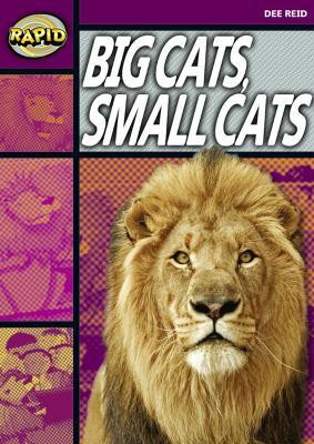 Rapid Reading: Big Cats Small Cats (Stage 1, Level 1A)(English, Paperback, Reid Dee)