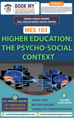 Iggy & the Stooges(English, Hardcover, Caraeff Ed)