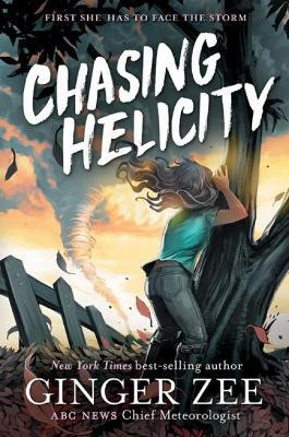 Chasing Helicity(English, Hardcover, Zee Ginger)