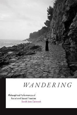 Wandering(English, Hardcover, Cervenak Sarah Jane)