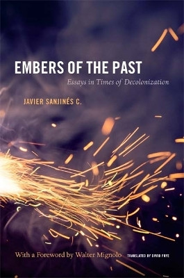 Embers of the Past(English, Paperback, Sanjines C. Javier)
