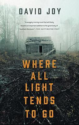 Where All Light Tends to Go(English, Paperback, Joy David)
