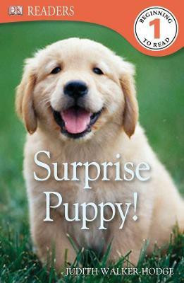 DK Readers L1: Surprise Puppy(English, Paperback, Walker-Hodge Judith)