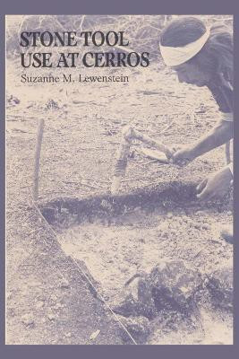 Stone Tool Use at Cerros(English, Paperback, Lewenstein Suzanne M.)