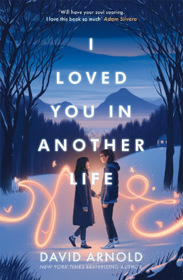 I Loved You In Another Life(Paperback, David Arnold)