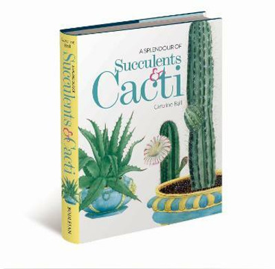 A Splendour of Succulents & Cacti(English, Hardcover, Ball Caroline)