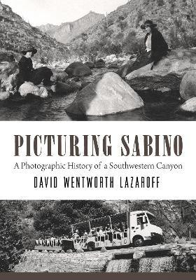 Picturing Sabino(English, Paperback, Lazaroff David Wentworth)