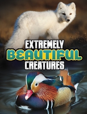 Extremely Beautiful Creatures(English, Paperback, Peterson Megan Cooley)