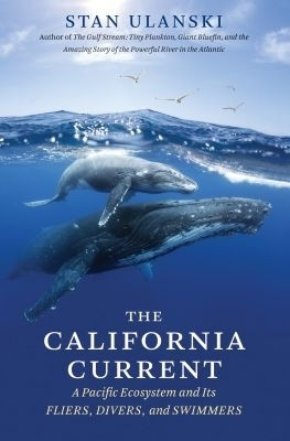 The California Current(English, Paperback, Ulanski Stan)