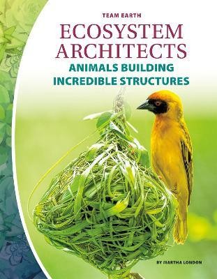 Ecosystem Architects(English, Paperback, London Martha)