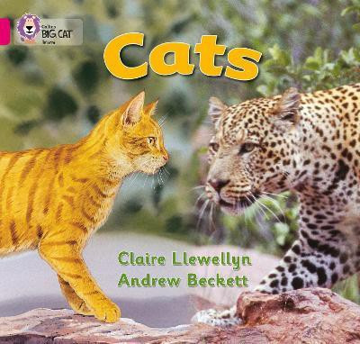 Cats(English, Paperback, Llewellyn Claire)