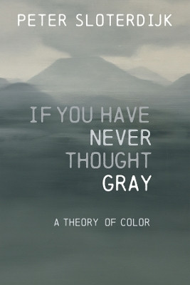 If You Have Never Thought Gray(English, Paperback, Sloterdijk Peter)