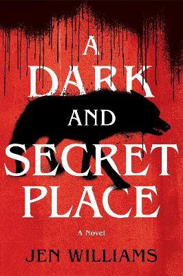 A Dark and Secret Place(English, Paperback, Williams Jen)