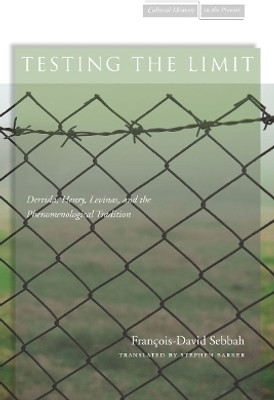 Testing the Limit(English, Electronic book text, Sebbah Francois-David)