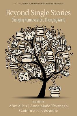 Beyond Single Stories(English, Paperback, unknown)