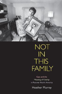 Not in This Family(English, Electronic book text, Murray Heather)