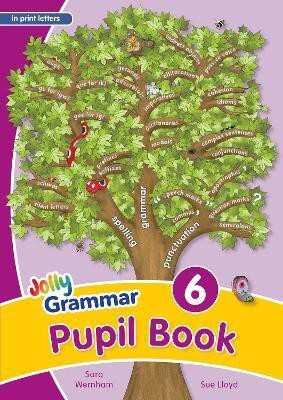 Grammar 6 Pupil Book(English, Paperback, Wernham Sara)