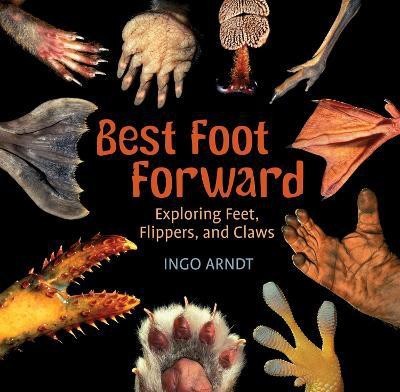 Best Foot Forward(English, Paperback, Arndt Ingo)